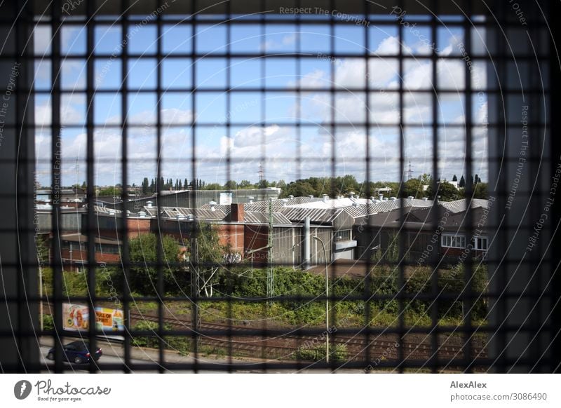 View of a factory through a lattice window - grid search Industry Grating Metal grid Grid Railroad Railroad tracks Factory Factory hall View from a window