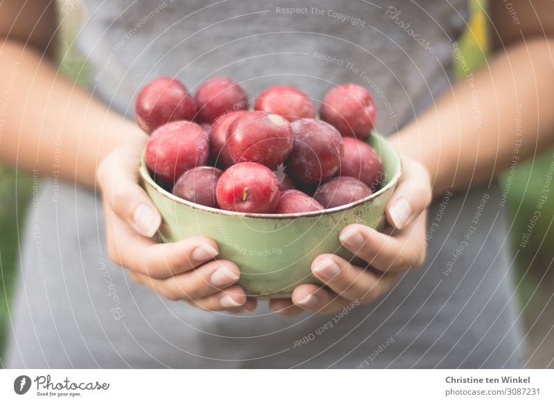 Young woman holding a bowl of red plums in front of her Food Fruit Plum Nutrition Bowl Youth (Young adults) Arm Hand Fingers 1 Human being 18 - 30 years Adults