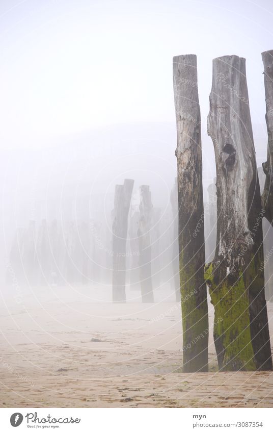 Breakwater on the beach promenade of St. Malo in Brittany in the fog Ocean coast Fog Shroud of fog Deserted Water Sky Colour photo Exterior shot Nature