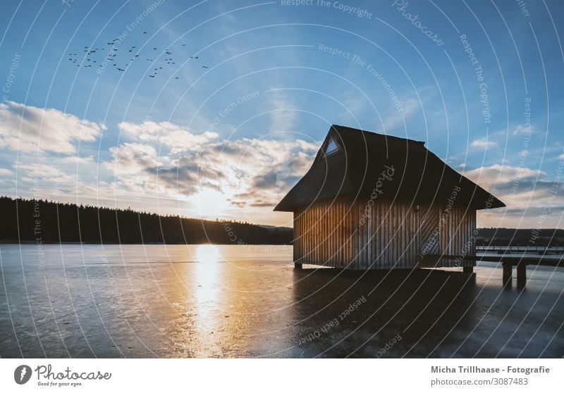 Wooden hut at the frozen lake Vacation & Travel Tourism Sun Winter Landscape Water Sky Clouds Sunrise Sunset Sunlight Lake Hohenfelden Germany Hut Relaxation