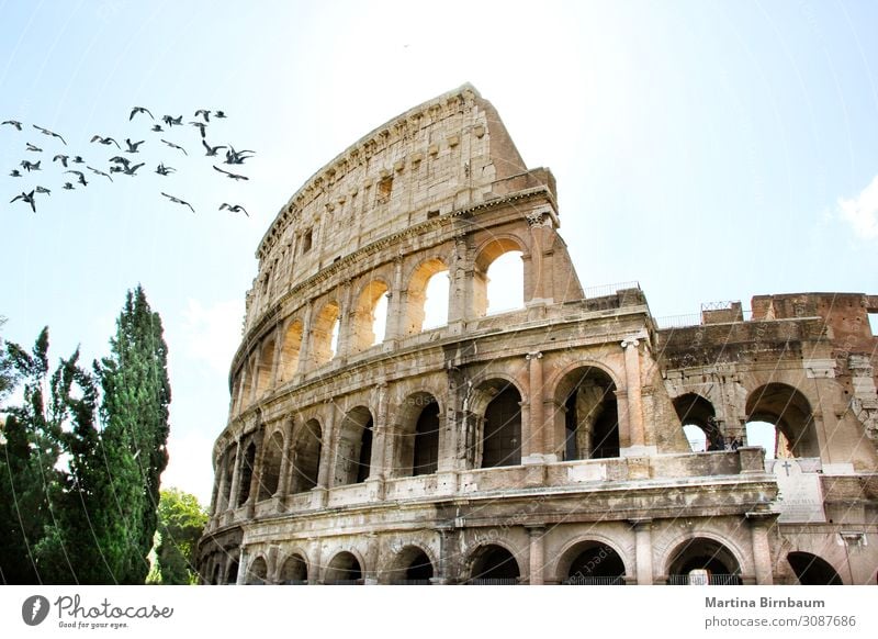 Close up view of Rome Colosseum in Rome , Italy Vacation & Travel Stadium Theatre Culture Sky Ruin Building Architecture Monument Stone Old Historic Ancient