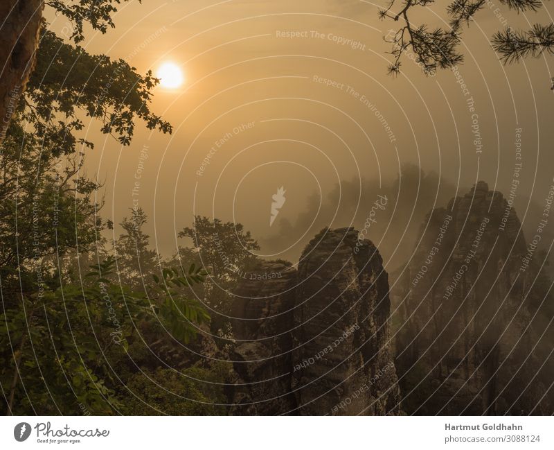 Picturesque sunrise in Saxon Switzerland. Vacation & Travel Tourism Sightseeing Sun Mountain Hiking Nature Landscape Sunlight Fog Tree Rock Bastei Germany