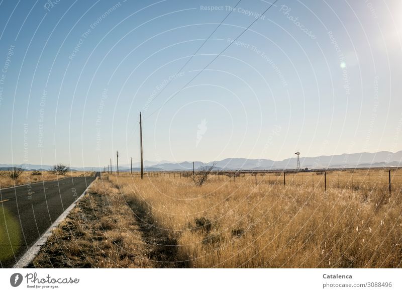 On the road again | on the way to nowhere; a lonely country road High voltage power line Electricity pylon Cable Landscape Earth Cloudless sky Horizon Winter