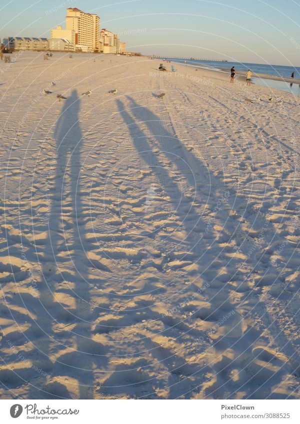 Shadows on the beach Lifestyle Joy Vacation & Travel Tourism Far-off places Summer Summer vacation Beach Environment Nature Landscape Sunrise Sunset Sunlight