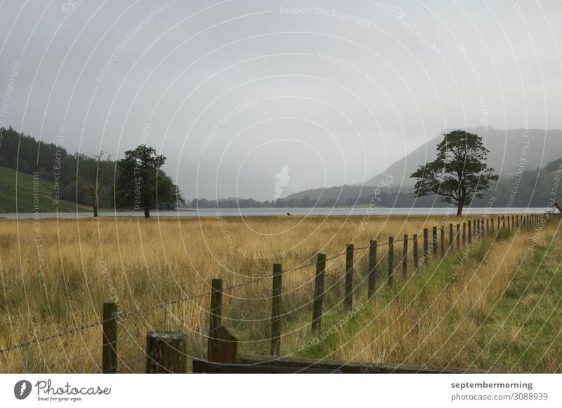 Lake District Landscape Fog Tree Field Mountain Peace Nature Calm Far-off places Subdued colour Exterior shot Deserted Day Panorama (View)