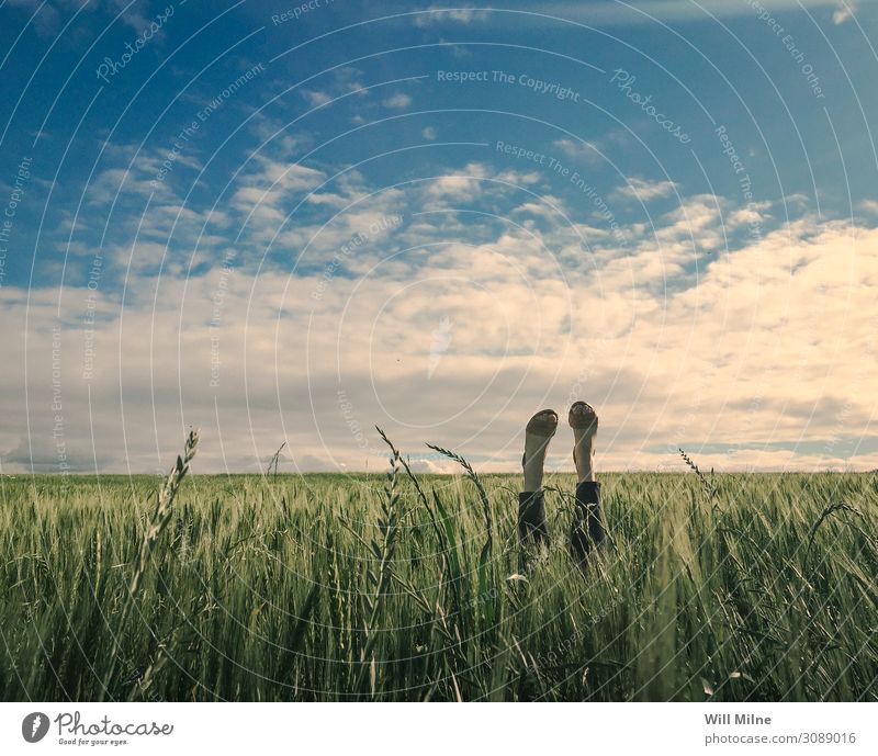 Woman in Field with Feet in the Air Legs Wheat Sky Green Blue Lie Downward Ground