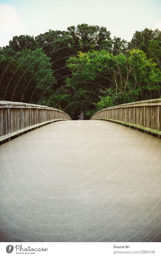 THE OTHER SIDE Lifestyle Art Environment Nature Landscape Climate Climate change Weather Beautiful weather Plant Tree Park Forest Observe Bridge Bridge railing