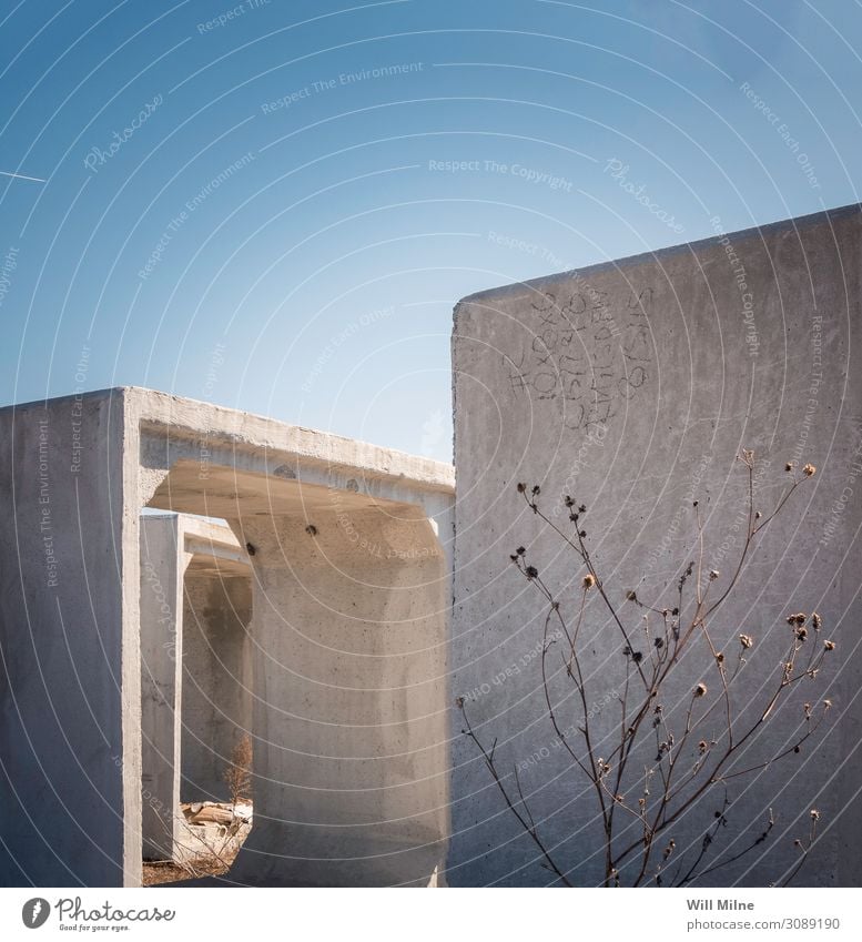 Plant Growing in the Middle of Construction Shadow Structures and shapes Building Work and employment