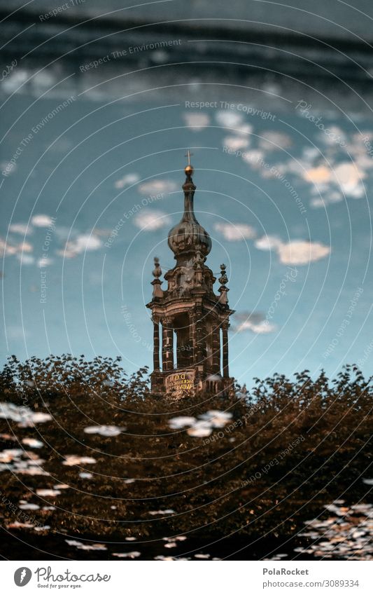 #A# Dresden Water Environment Nature Esthetic Surface of water Reflection Dresden Hofkirche Culture Religion and faith Tower Well Colour photo Subdued colour