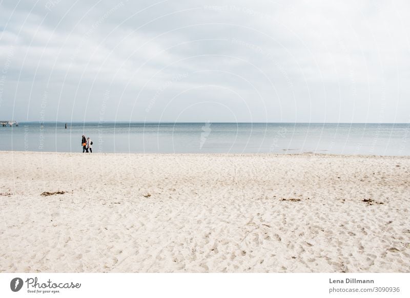 Timmendorferstrand #6 Water Timmendorf beach Baltic Sea Baltic coast Baltic beach Northern Germany Beach Sand outlook Landscape clear water people Horizon Coast