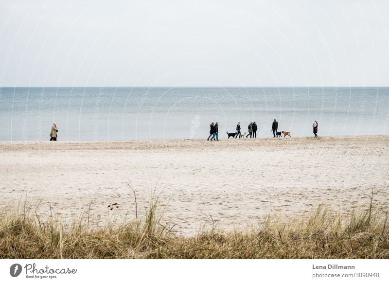 Timmendorferstrand #4 Beach dogs group people Nature Trip Water Ocean Vantage point outlook Timmendorf beach Northern Germany meetings stroll Coast Sky