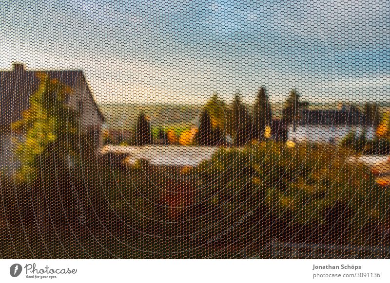 View of a garden through a fly screen Far-off places Living or residing House (Residential Structure) Garden Sky Autumn Tree Window Idyll Background picture