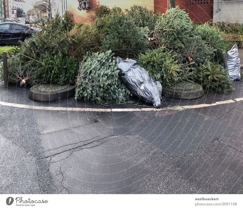 thrown away fir trees at the roadside Lifestyle Winter Christmas & Advent New Year's Eve Tree Town Street Authentic Germany Recycling January Christmas tree