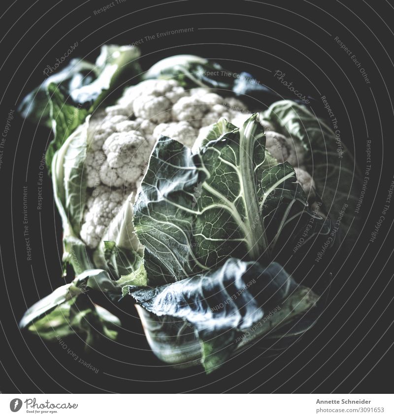 cauliflower Food Vegetable Lettuce Salad Nutrition Organic produce Slow food Plant Leaf Gray Green White Colour photo Interior shot Studio shot Isolated Image