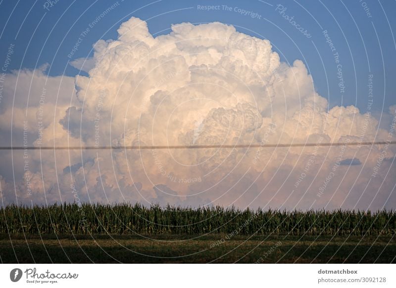 The little cloud Environment Nature Landscape Plant Sky Clouds Storm clouds Summer Autumn Climate Weather Thunder and lightning Field Exceptional Gigantic Large