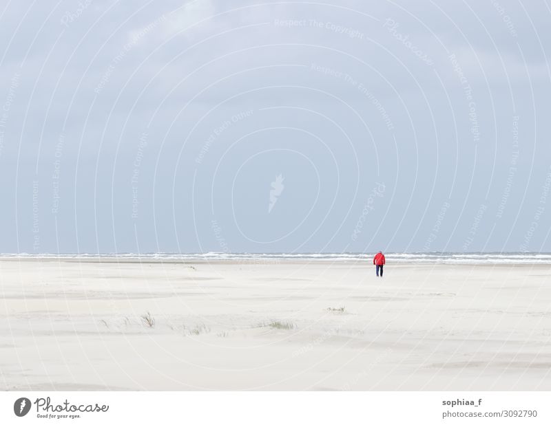 lonely old man at the endless beach, small human big world timeout depression beach walk sea hope freedom mourning mental illness sad red coat future steps