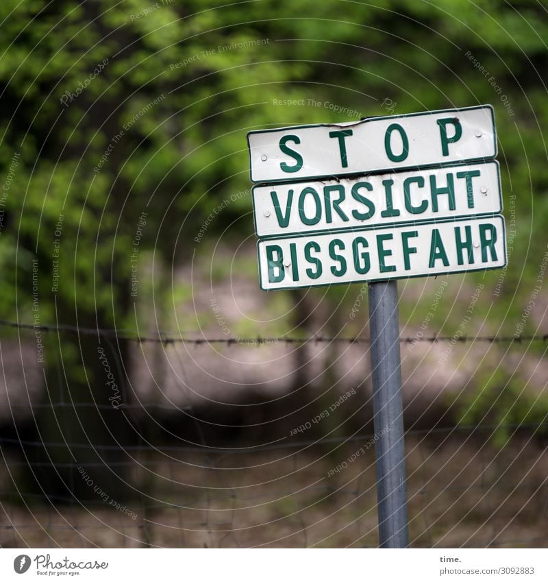 Stories from the fence (28) Forest Fence Characters Signs and labeling Signage Warning sign Safety Protection Watchfulness Orderliness Fear Dangerous Stress