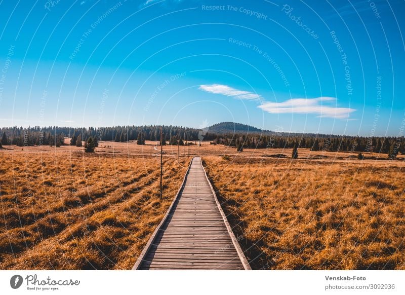 The way to myself Contentment Trip Adventure Far-off places Freedom Hiking Nature Landscape Sky Horizon Autumn Climate Beautiful weather Bog Marsh Discover Calm