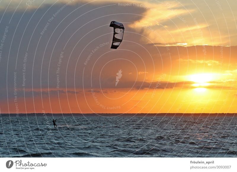 sun wind sea man Joy Leisure and hobbies Sports Aquatics Surfing Surfer Kiting Kiter 1 Human being Summer Beautiful weather Wind Waves Coast Free Athletic Blue