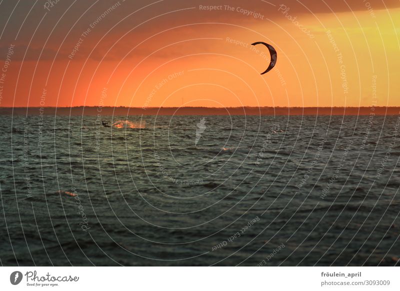 Kitesurfer in the evening light Sports kitesurfer kiteboarding Sports Training Fitness Athletic Leisure and hobbies Dusk evening mood Water Ocean Orange Sky