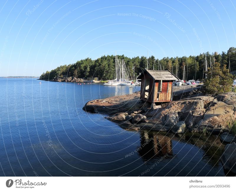 Idyll in the archipelago Summer Ocean Island Nature Landscape Water Beautiful weather Coast Bay Baltic Sea Relaxation Blue Calm Vacation & Travel Peace Skerry