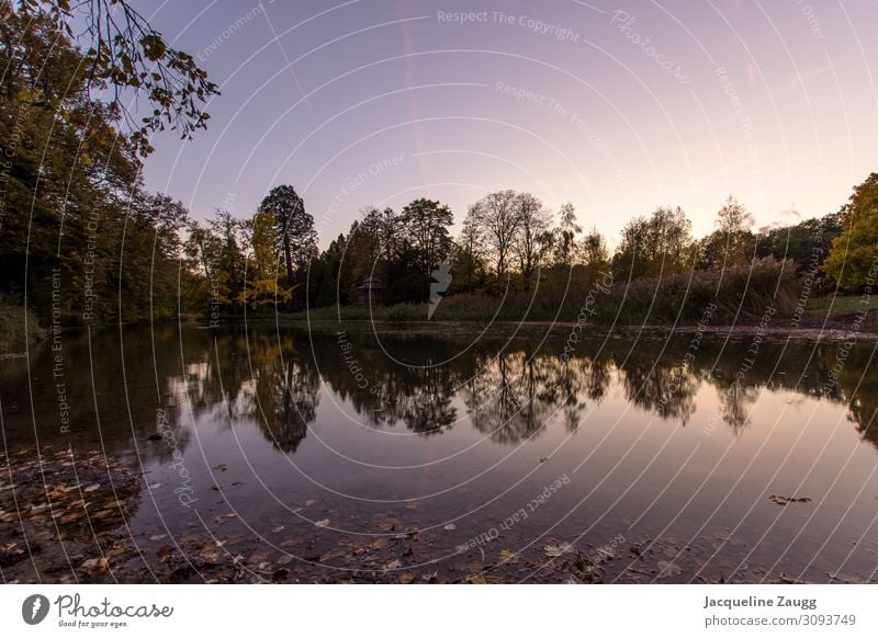 The day goes.... Nature Landscape Sunrise Sunset Beautiful weather Park Relaxation Colour photo Exterior shot Twilight Reflection