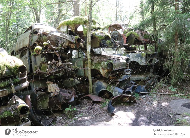 Old rusty cars. Image is from Bästnes «car cemetary» in Sweden. Summer Climate change Vehicle Car Vintage car Retro Brown Multicoloured Green Fatigue