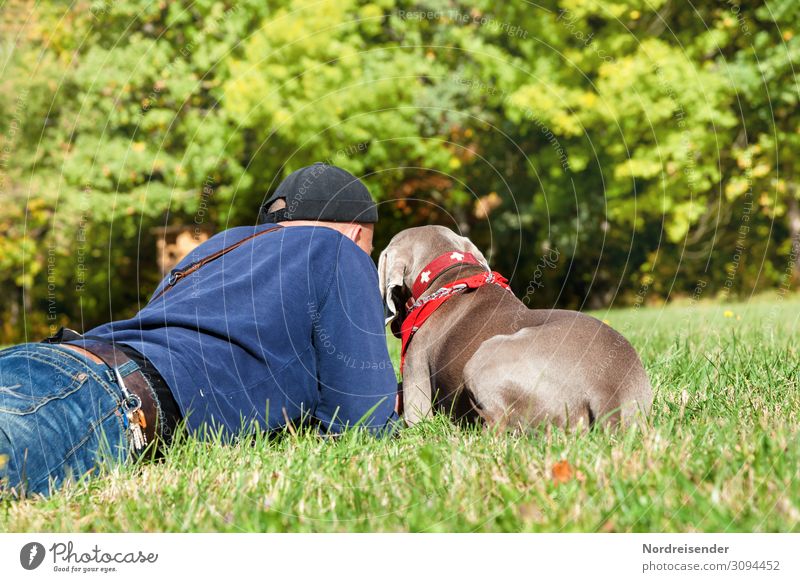 Valuable | common time Lifestyle Joy Happy Well-being Relaxation Trip Hiking Human being Masculine Man Adults Nature Summer Autumn Beautiful weather Grass Park