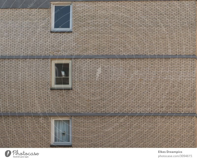 windows House (Residential Structure) High-rise Wall (barrier) Wall (building) Window Gray Northwijk Subdued colour Exterior shot Pattern Structures and shapes