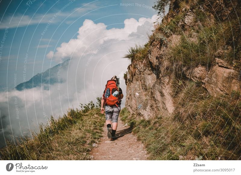 Young woman hiking on the Meraner Höhenweg Leisure and hobbies Vacation & Travel Adventure Freedom Mountain Hiking Youth (Young adults) 18 - 30 years Adults