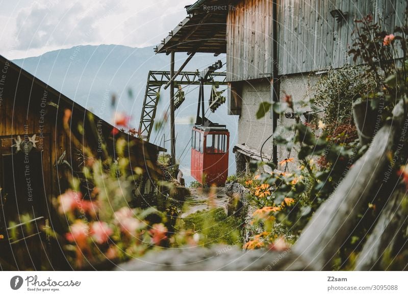 Old gondola in South Tyrol Ferris wheel Gondola Nature Landscape Summer Beautiful weather Flower Bushes Alps Mountain Hut Kitsch Sustainability Natural Blue