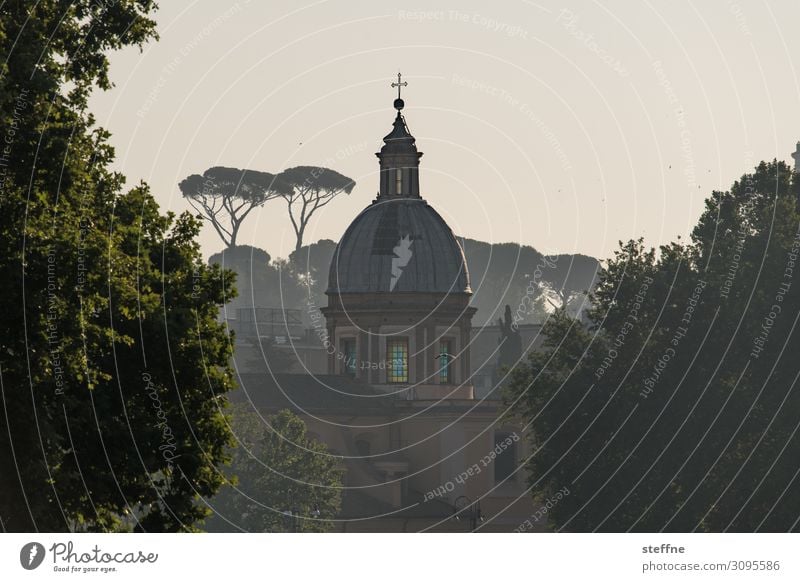 Chiesa di San Girolamo dei Croati Nature Summer Tree Skyline Religion and faith Rome Italian worth living dolce vita Church Domed roof Stone pine green lung