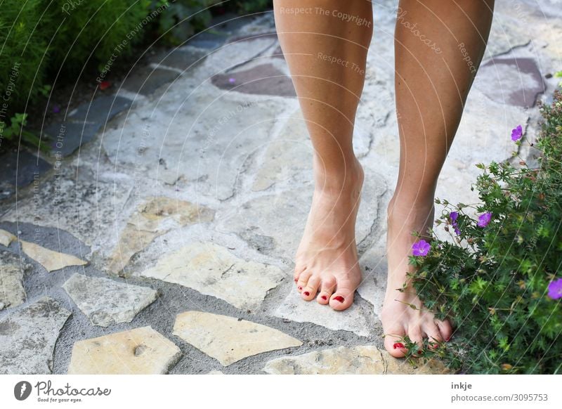 when it was still summer Lifestyle Beautiful Pedicure Nail polish Wellness Senses Leisure and hobbies Feminine Woman Adults Feet Women`s feet 1 Human being