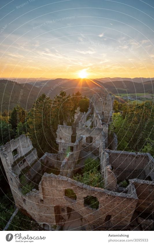 Castle ruin Prandegg Environment Nature Landscape Plant Sky Horizon Sun Sunrise Sunset Sunlight Summer Weather Beautiful weather Tree Field Forest Hill Austria