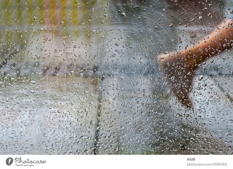 rainy day in the city Shopping Human being Legs Feet Nature Water Drops of water Weather Bad weather Rain Thunder and lightning Town Footwear Movement Walking