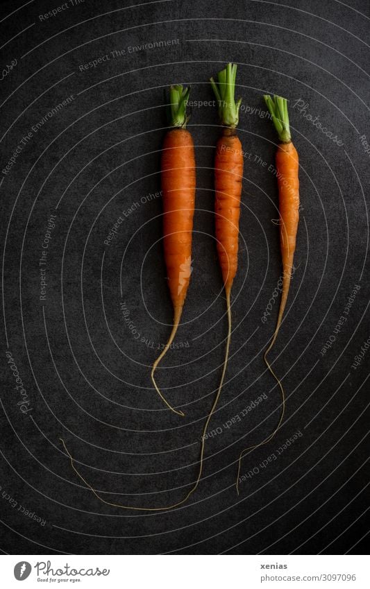 Three carrots Food Vegetable Carrot Organic produce Vegetarian diet Diet Fresh Healthy Green Orange Black 3 Food photograph Colour photo Studio shot Deserted