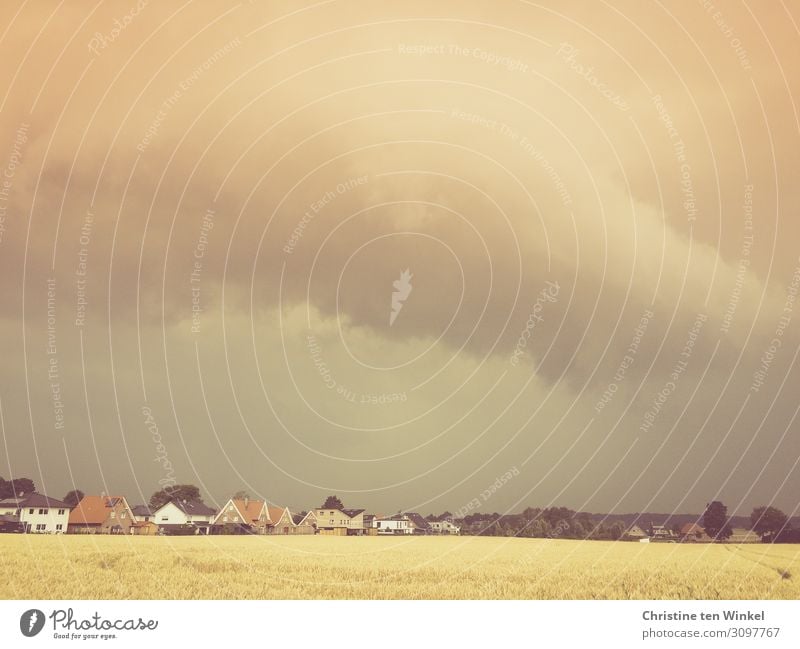 bad weather over a village Environment Nature Landscape Storm clouds Summer Bad weather Thunder and lightning Tree Field Threat Far-off places Brown Yellow Gray