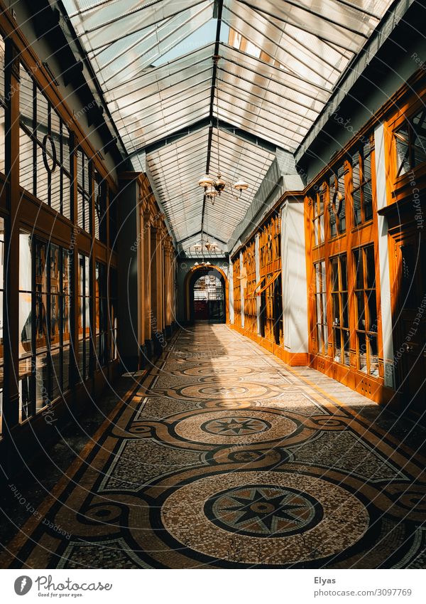 Paris Gallery Trip City trip Summer Sun Interior design Decoration Art Architecture Town Downtown Deserted House (Residential Structure) Building Window Door