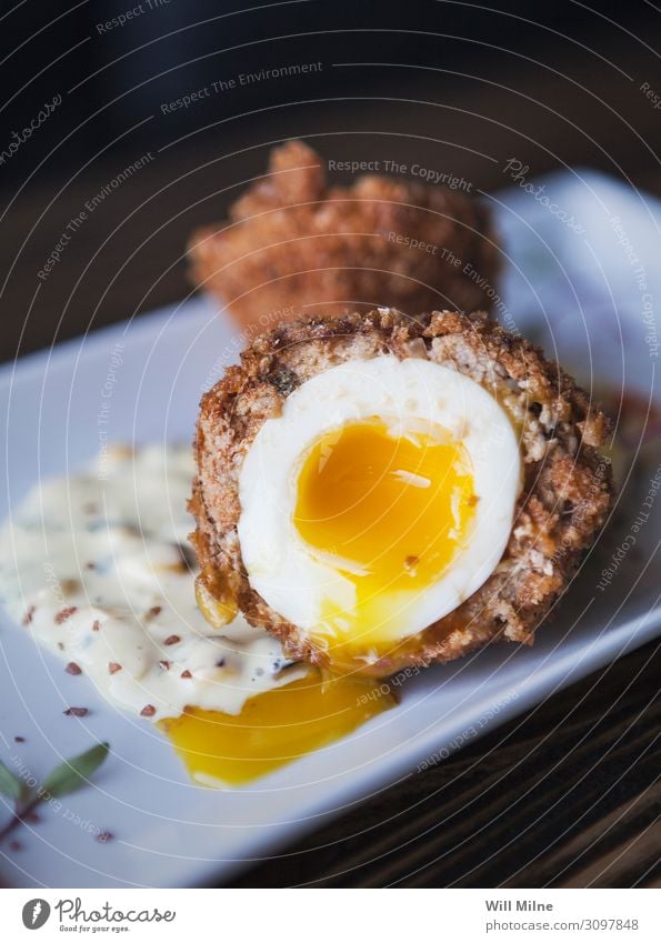 Scotch Egg with Runny Yolk Scotsman Food Dish Food photograph runny Frying Sausage Appetizer Meal