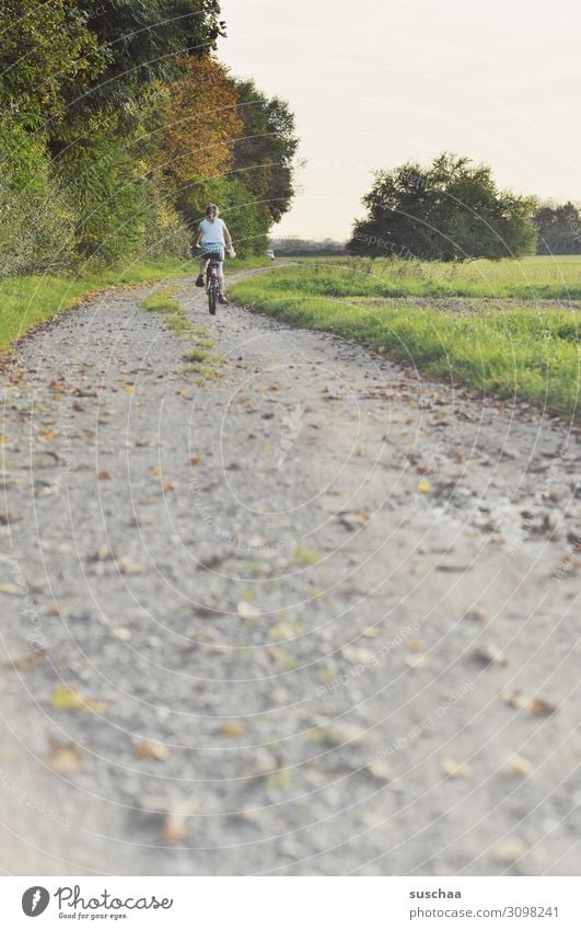 autumn wheeler Child Bicycle Cycling Cycling tour Autumn Summer Exterior shot Nature Air Footpath Leaf Field Meadow Tree Gravel path Perspective