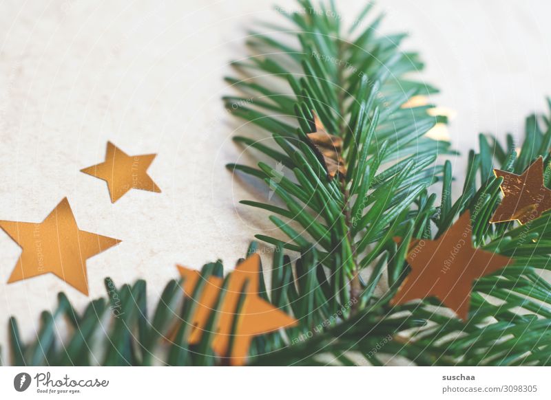 christmas deco stuff Christmas & Advent Fir branch Fir needle Star (Symbol) stars Christmas decoration Decoration Card Neutral Background