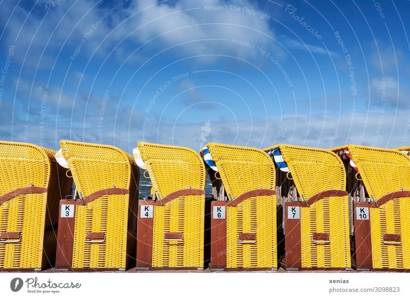 End of holiday or beginning of holiday - Under a blue sky many yellow beach chairs stand in a row Beach chair Vacation & Travel North Sea Baltic Sea Tourism