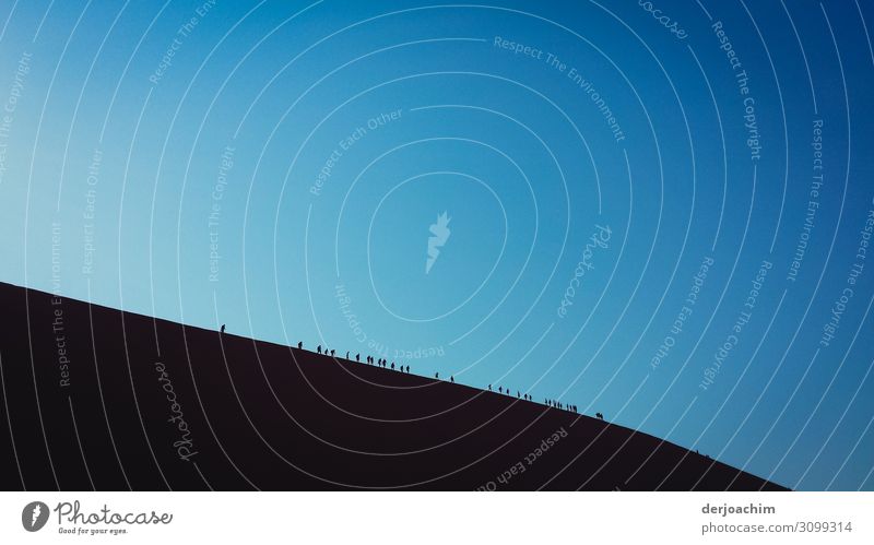 A huge sand dune, blue sky and on the sand dune a group of people, very small. Leisure and hobbies Vacation & Travel Summer Human being Crowd of people