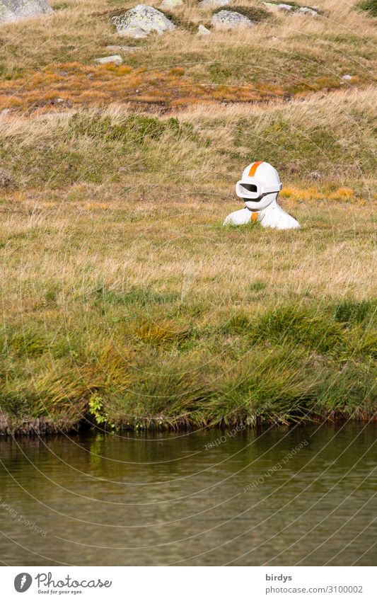 In the wrong element ? Androgynous Head 1 Human being Art Sculpture Nature Earth Water Summer Grass Rock Alps Lake Switzerland Observe Dive Esthetic Authentic