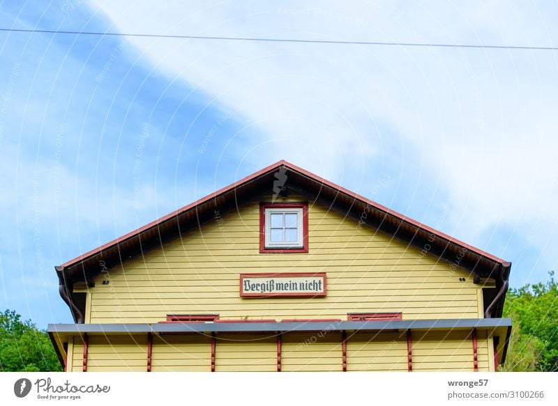 Don't forget mine - hope carrier House (Residential Structure) Dream house Building Facade Balcony Window Roof Historic Beautiful Uniqueness Retro Town Blue