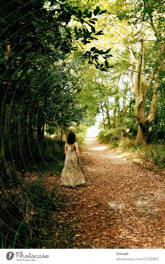 woman walking romantically through an autumn forest Lifestyle Relaxation Summer Garden Human being Feminine Woman Adults Female senior Body 1 45 - 60 years