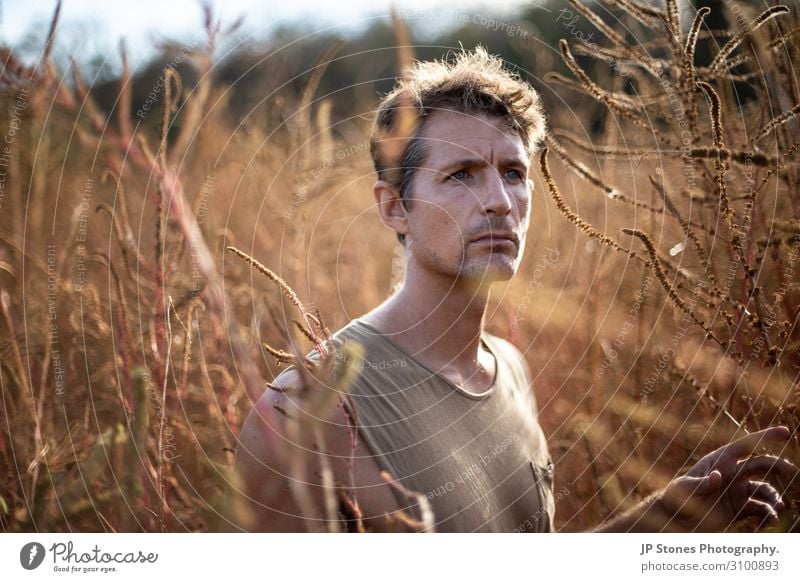 Good looking man at sunset in field. Human being Masculine Young man Youth (Young adults) 1 30 - 45 years Adults Nature Landscape Sun Beautiful weather Plant