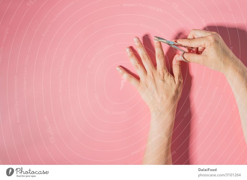 Nail cutter macro detail pink background Beautiful Body Skin Manicure Tool Scissors Human being Woman Adults Hand Fingers Metal Steel Glittering Clean White