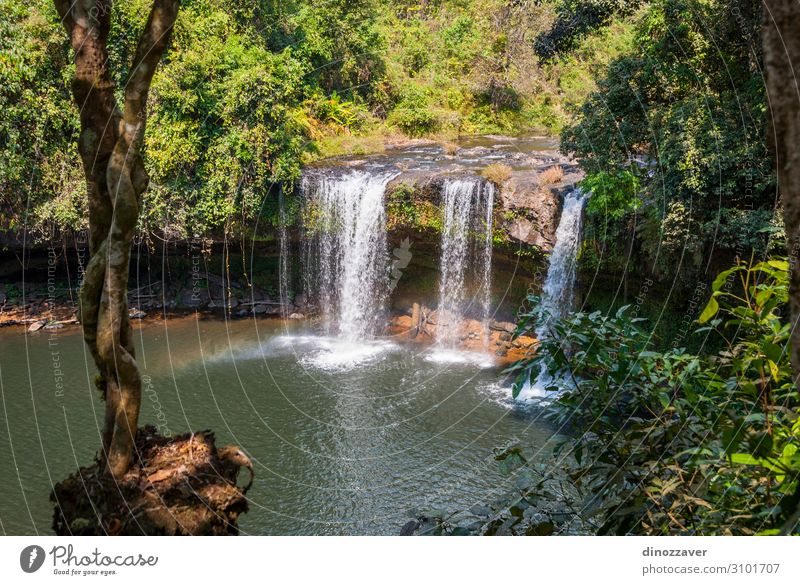 Thamchamp Pee waterfall, Paksong, Laos Beautiful Vacation & Travel Tourism Mountain Environment Nature Plant Tree Forest Virgin forest Rock River Waterfall Drop