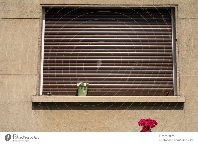 October blues Living or residing House (Residential Structure) Wall (barrier) Wall (building) Window Stone Plastic Simple Brown Green Red Emotions Orderliness